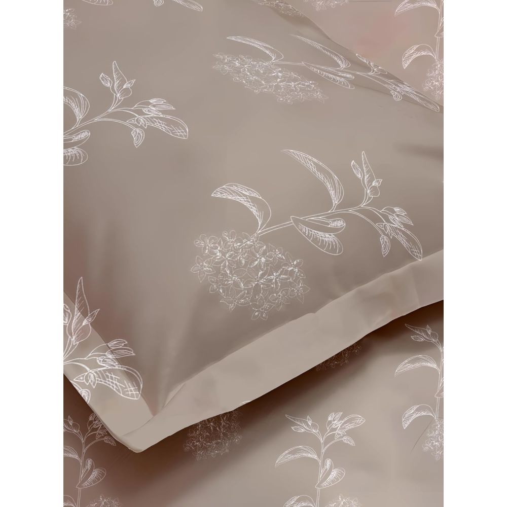 Satin Glory 200 TC Pure Cotton Single Bedsheet  - Brown