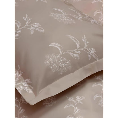 Satin Glory 200 TC Pure Cotton Single Bedsheet  - Brown